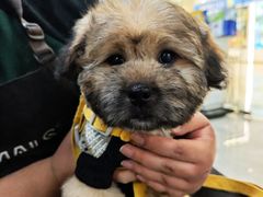 -它主义宠物(梁溪万达店)