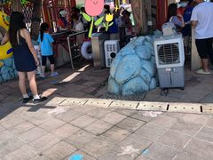 -重庆海昌加勒比海水世界
