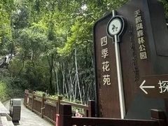 -天鹿湖森林公园