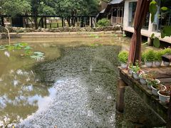-天怡·鱼工厂(梅溪湖店)