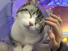 -极木²邸 人与宠物·互动社区