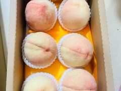 -老袁家蜜桃农场·阳山水蜜桃