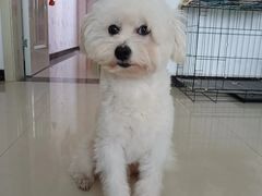 -和它·交个朋友·狗咖猫咖(爱琴海店)