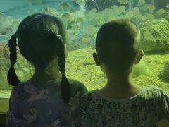 -北戴河圣蓝海洋公园