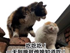 -金良酸菜鱼(宁海路总店)