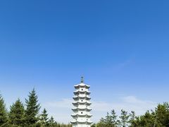 -嘉荫恐龙国家地质公园