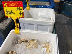 -小贝壳酒楼(经九路店)