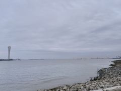 -上海吴淞炮台湾国家湿地公园