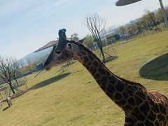 -南京金牛湖风景区