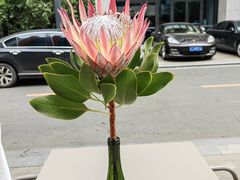 -Cooking Man(中懋天地店)