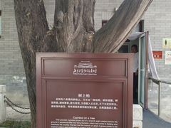 -北京市劳动人民文化宫(太庙)
