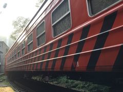 -黄桷坪涂鸦艺术街