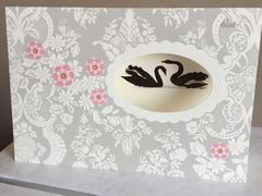 -BLACKSWAN黑天鹅(环球店)