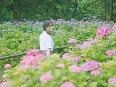 -重庆雨台山风景区