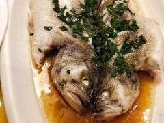 -大鸿运酒店·苏州菜·松鼠桂鱼(观前街店)