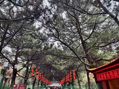 -南岳大庙