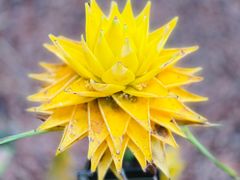 -华南国家植物园-售票处