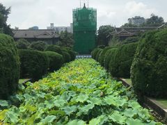 -四川大学(华西校区)