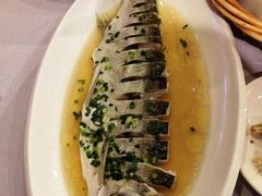 -宋园·金宴浙鲜馆(静安店)