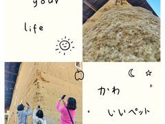 -初溪土楼群