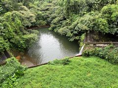 -鼎湖山风景区
