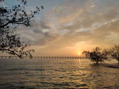 -宝安西湾红树林湿地公园