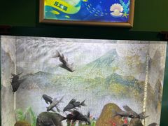 -常州海昌海洋探索馆