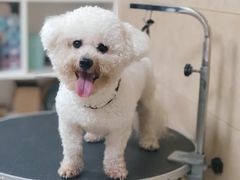 -佳雯宠物医院·皮肤科·内外科(春晓路分院)