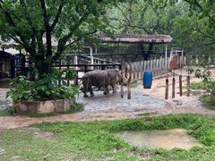-深圳野生动物园