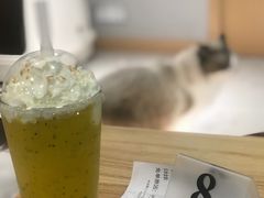 -飞行喵MR PILOT|猫舍·猫咖(静安大融城店)