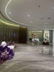 -日本芮兹美容沙龙旗舰店