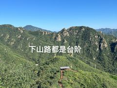 -大岭沟猕猴桃谷风景区