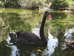 -海南热带野生动植物园