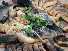 -京北渔家傲