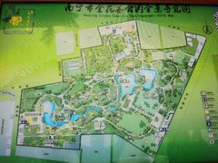 -金花茶公园
