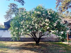 -承德避暑山庄景区