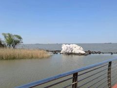 -上海吴淞炮台湾国家湿地公园