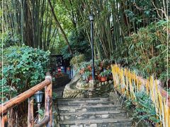 -竹海听涛生态山庄