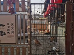 -鱼窝棚柴火铁锅炖(富山屯店)