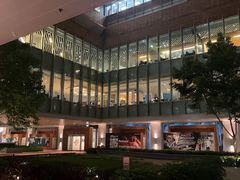 -香港大学