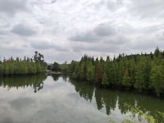 -白鹭湾湿地公园