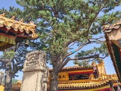-五台山风景名胜区-罗睺寺