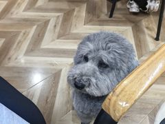 -宅基地桌游CLUB(对外经贸店)