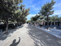 -北京市八达岭人民公墓