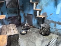 -青藏高原野生动物园