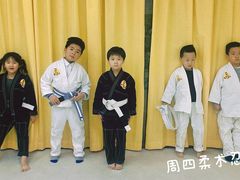 -勇气斑马·巴西柔术&跆拳道(浦东三林店)