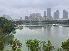 -武汉动物园