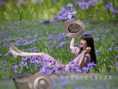 -白鹭湾湿地公园