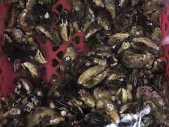 -大众海鲜加工大排档(金海湾大道店)