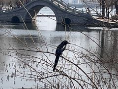 -长春市南湖公园